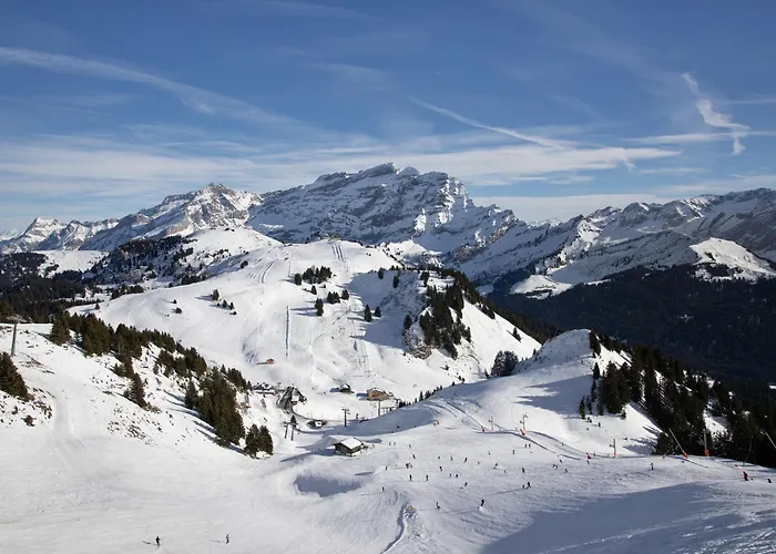 Lägenhet Topaze 4 By Interhome Villars-sur-Ollon